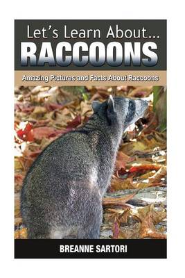 Book cover for Raccoons