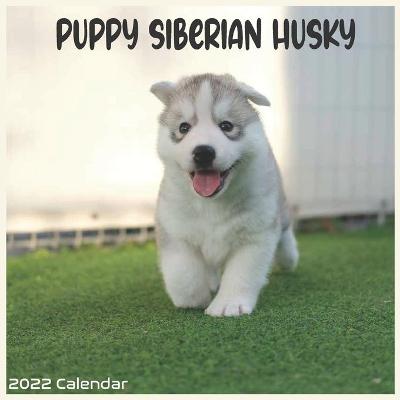 Book cover for Siberian Husky Puppy 2022 Calendar