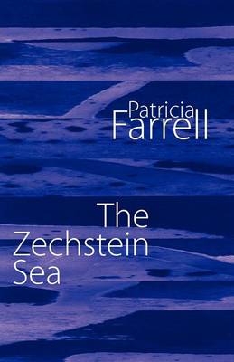 Book cover for The Zechstein Sea