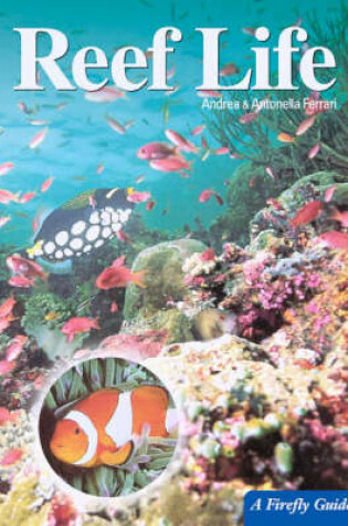 Cover of Reef Life