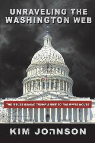 Cover of Unraveling The Washington Web