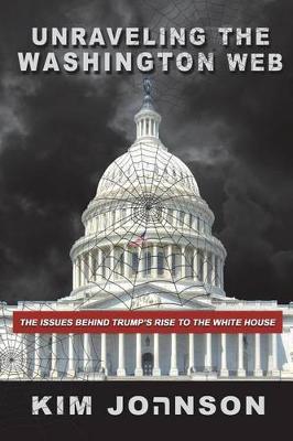 Book cover for Unraveling The Washington Web