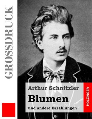 Book cover for Blumen (Grossdruck)