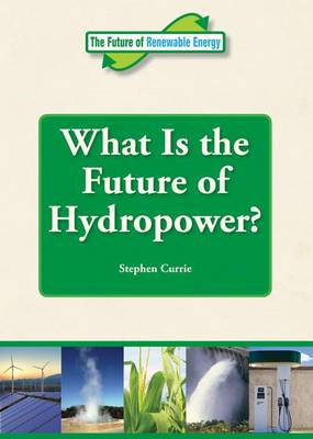 Book cover for What Is the Future of Hydropower?