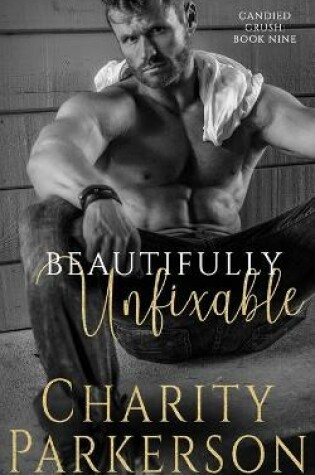 Cover of Beautifully Unfixable
