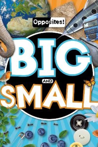 Cover of Big and Small