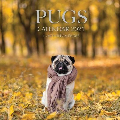 Book cover for Pugs Calendar 2021