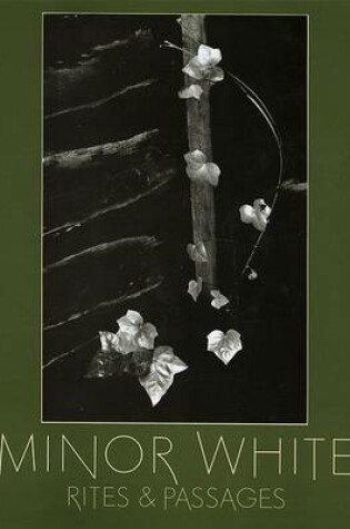 Cover of Minor White