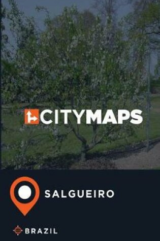 Cover of City Maps Salgueiro Brazil