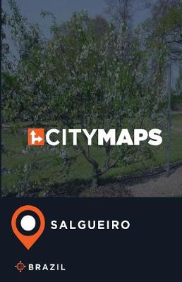 Book cover for City Maps Salgueiro Brazil