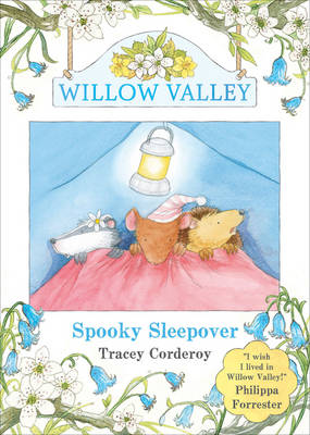 Book cover for Spooky Sleepover