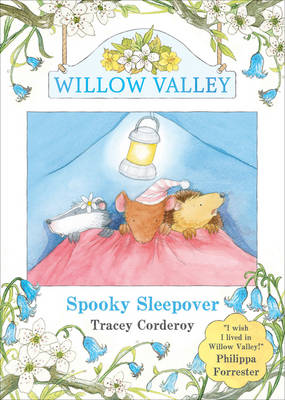 Cover of Spooky Sleepover