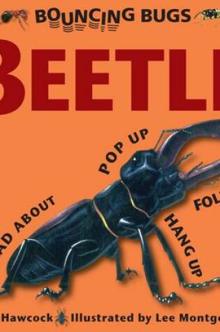Cover of Bouncing Bugs - Beetle