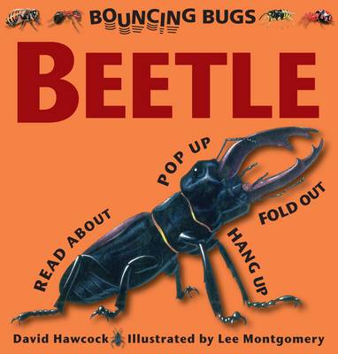 Book cover for Bouncing Bugs - Beetle