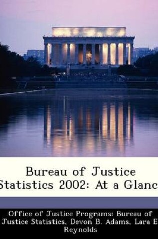 Cover of Bureau of Justice Statistics 2002