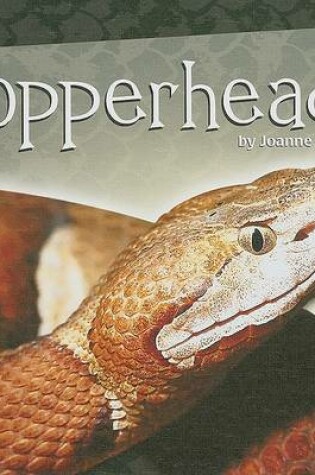 Cover of Copperheads