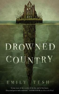 Book cover for Drowned Country
