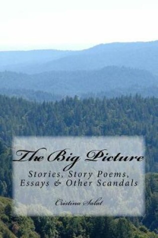 Cover of The Big Picture