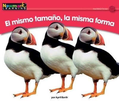 Book cover for El Mismo Tamao, La Misma Forma Leveled Text