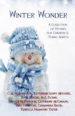 Book cover for Winter Wonder