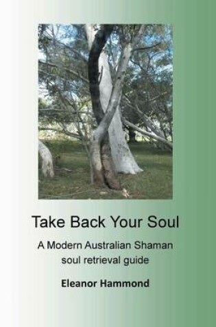 Cover of Take Back Your Soul