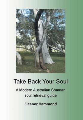 Book cover for Take Back Your Soul