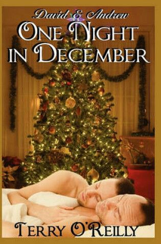 Cover of One Night in December