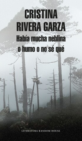 Book cover for Habia mucha neblina o humo o no se que: Caminar con Juan Rulfo / There Was a Lot  of Fog, or Smoke, or I'm Not Sure What: Walking with Juan Rulfo
