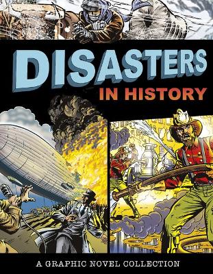 Book cover for Disasters in History