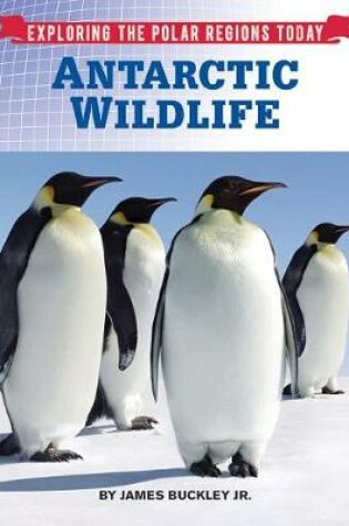 Cover of Antarctic Wildlife