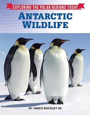 Book cover for Antarctic Wildlife