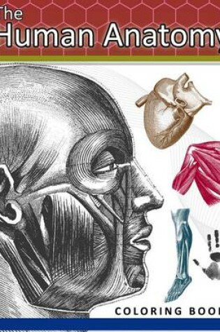 Cover of The Human Anatomy Coloring Book