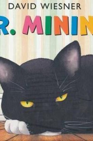 Cover of Sr. Minino