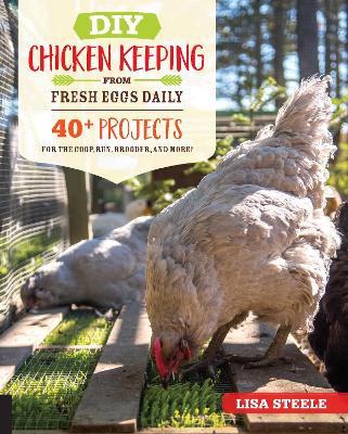 Book cover for DIY Chicken Keeping from Fresh Eggs Daily