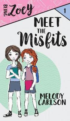Book cover for Meet the Misfits