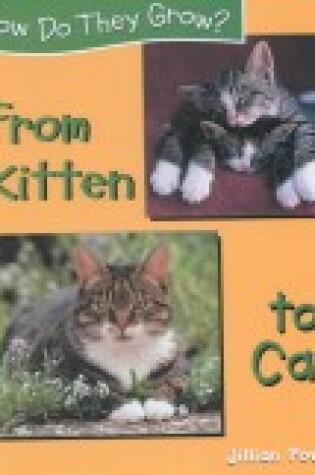 Cover of From Kitten to Cat