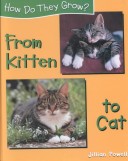 Book cover for From Kitten to Cat