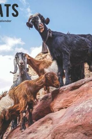 Cover of Goats 2021 Wall Calendar