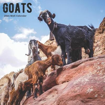 Book cover for Goats 2021 Wall Calendar