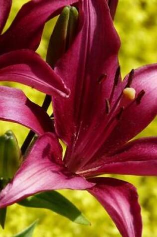 Cover of A Beautiful Red Tiger Lily in a Field, for the Love of Flowers