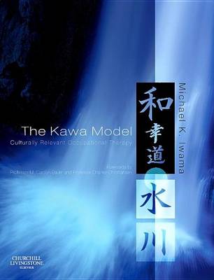 Book cover for The Kawa Model