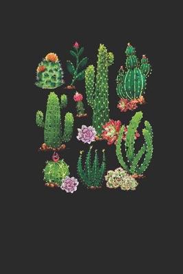 Book cover for Cacti of the Southwest