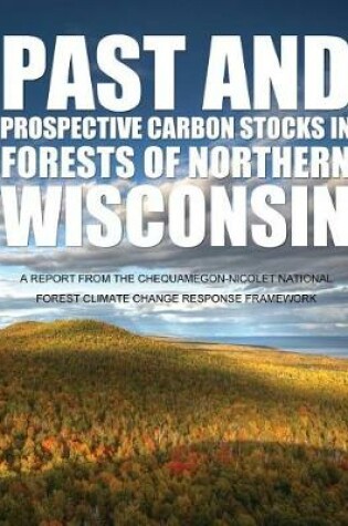 Cover of Past and Prospective Carbon Stocks in Forests of Northern Wisconsin