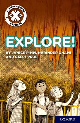 Book cover for Project X Comprehension Express: Stage 1: Explore! Pack of 6