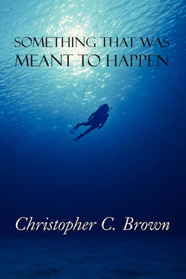 Book cover for Something That Was Meant to Happen