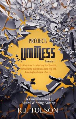Book cover for The Success Initiative (Project: Limitless, Volume 1)