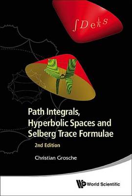 Book cover for Path Integrals, Hyperbolic Spaces and Selberg Trace Formulae (2nd Edition)