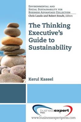 Book cover for The Thinking Executive's Guide to Sustainability