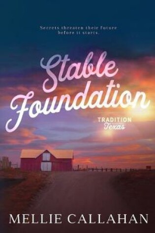 Cover of Stable Foundation