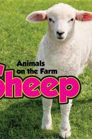 Cover of Sheep